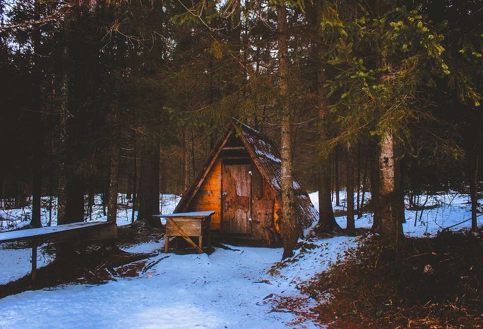 Hütte im Wald. Puzzlespiel online