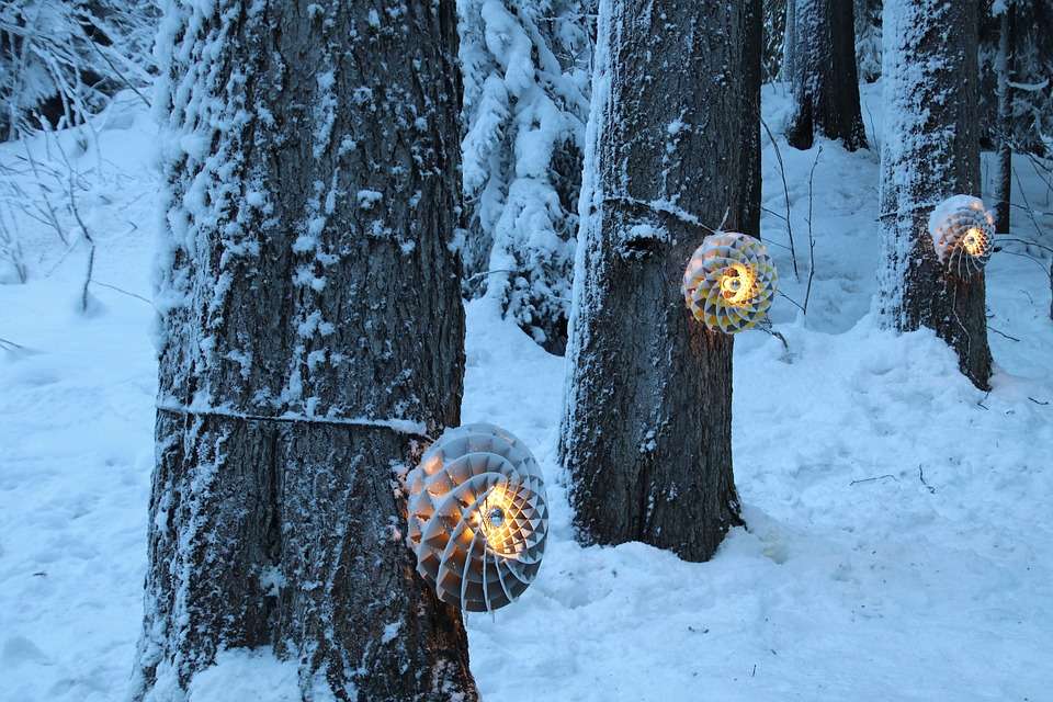 Lichten in het bos. online puzzel