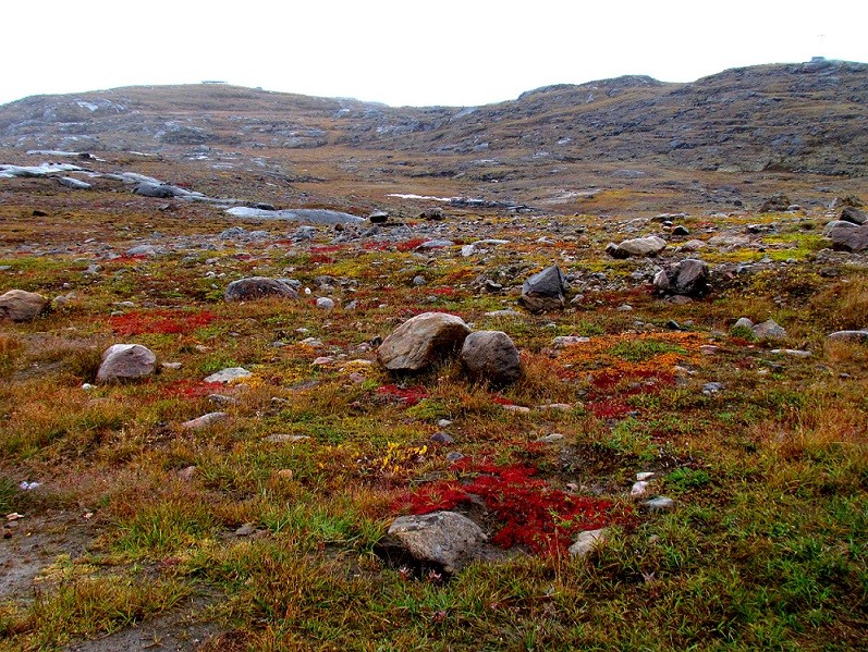 Colorful Tundra. online puzzle