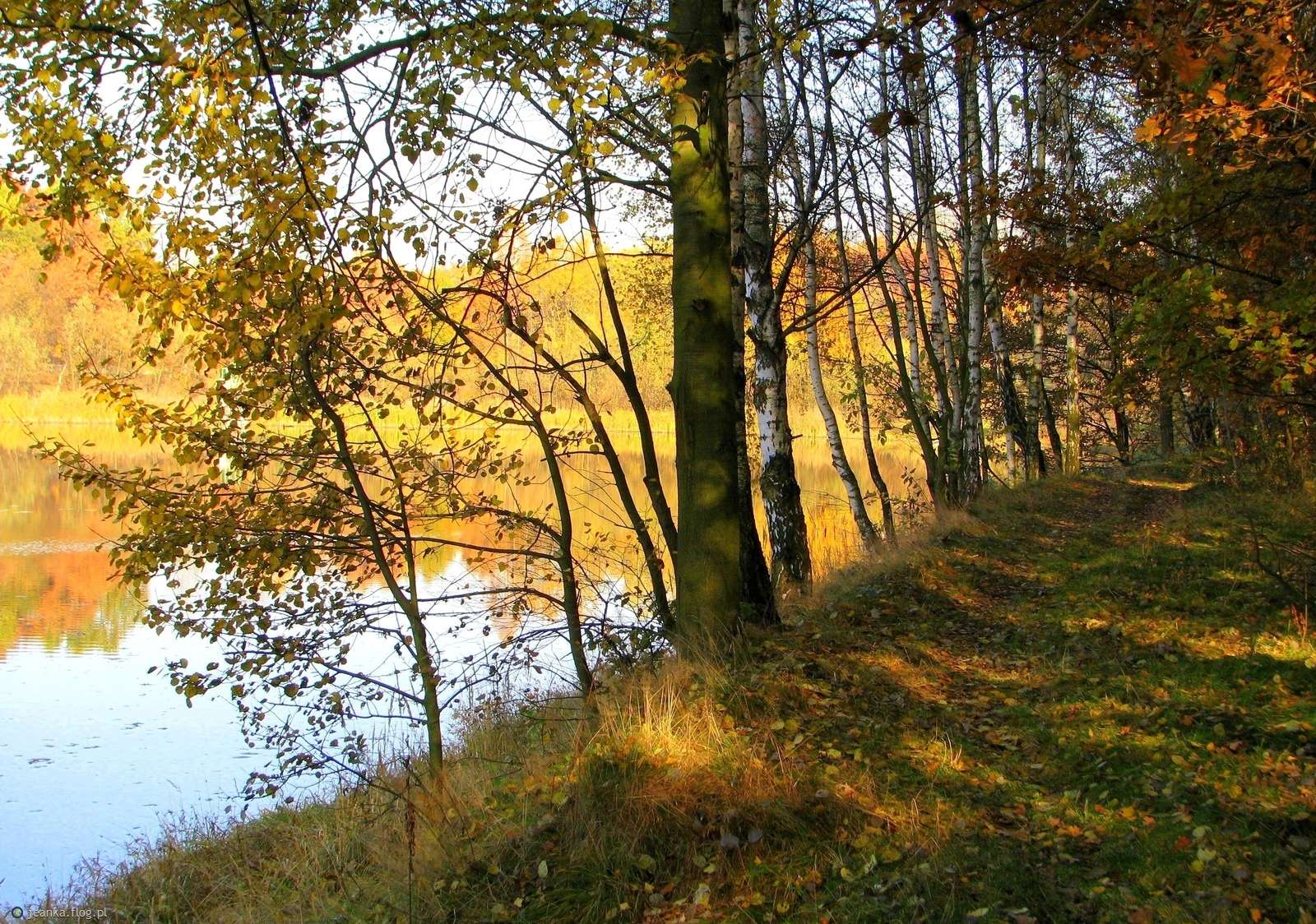 near the pond jigsaw puzzle online