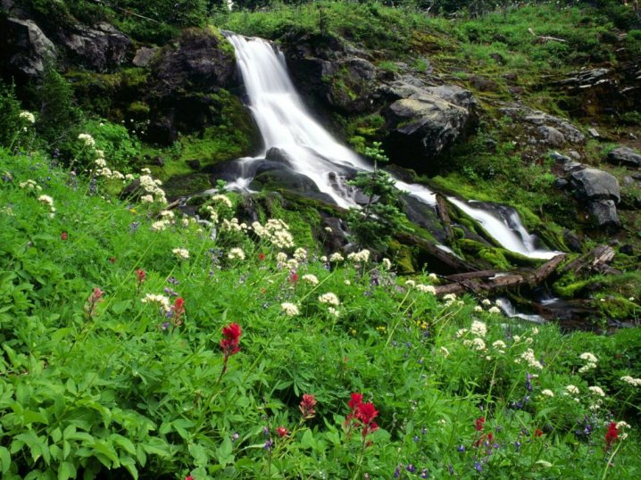small waterfall jigsaw puzzle online