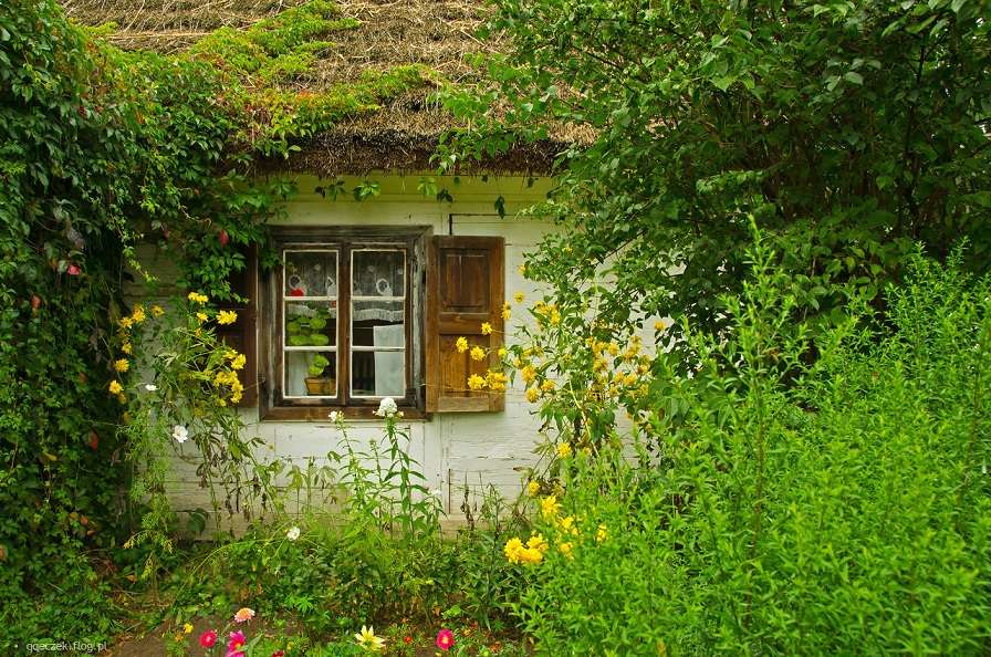 Cottage avec jardin. puzzle en ligne