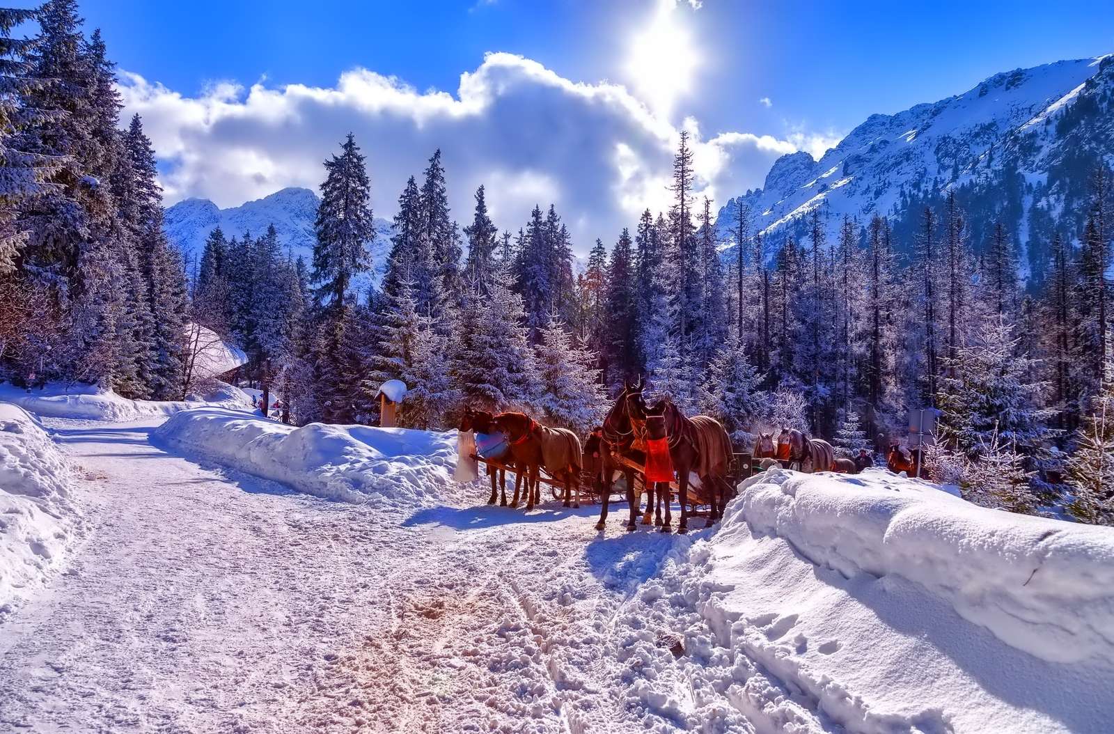 Trenós puxados por cavalos nos Tatras. puzzle online