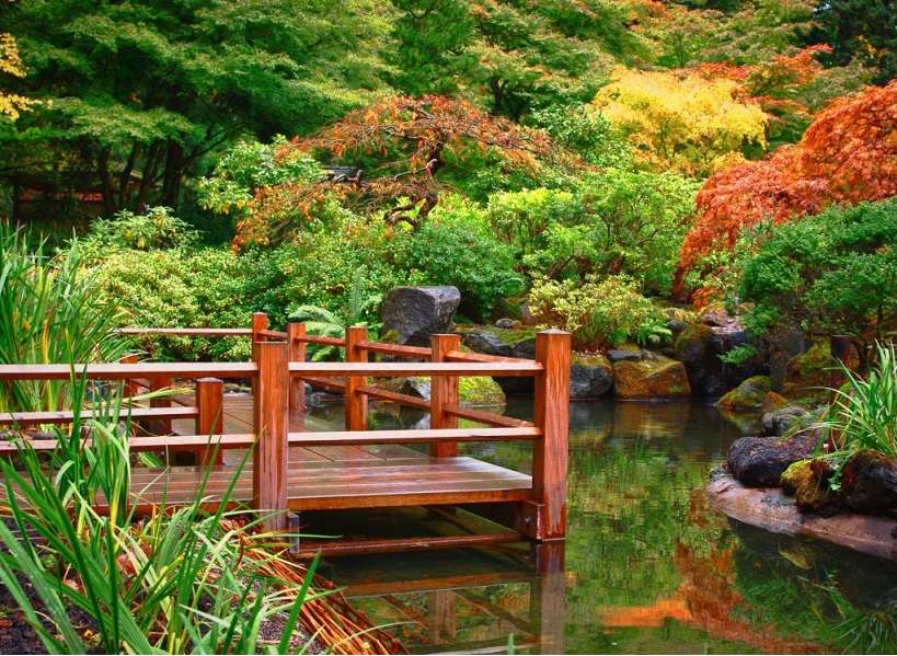 By the pond in the garden. jigsaw puzzle online