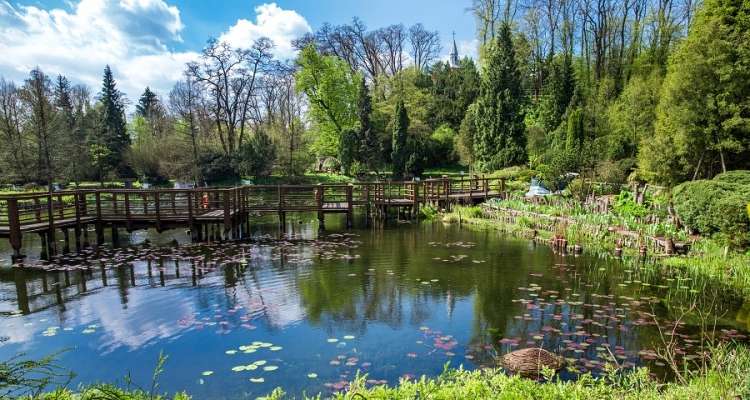 Ο δενδρολογικός κήπος στο Bolestraszyce παζλ online