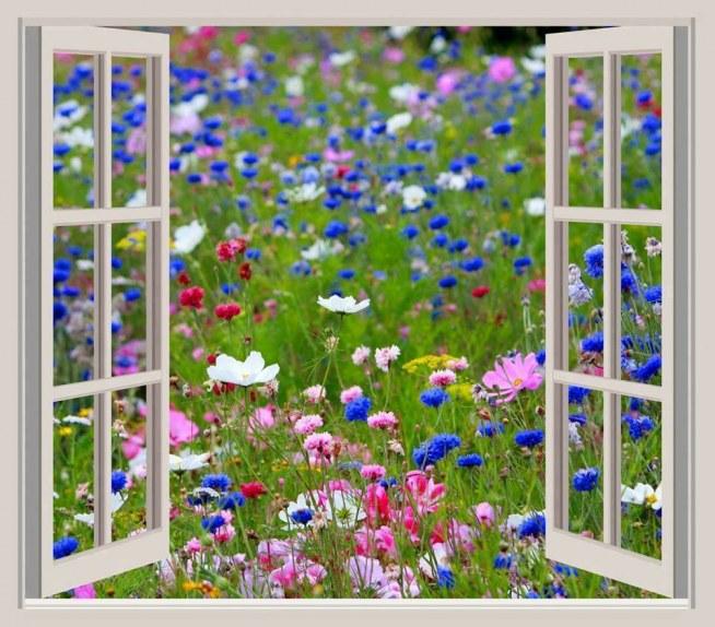 Bloemen buiten het raam legpuzzel online