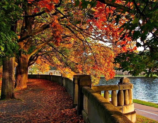 Autumn in the park. jigsaw puzzle online