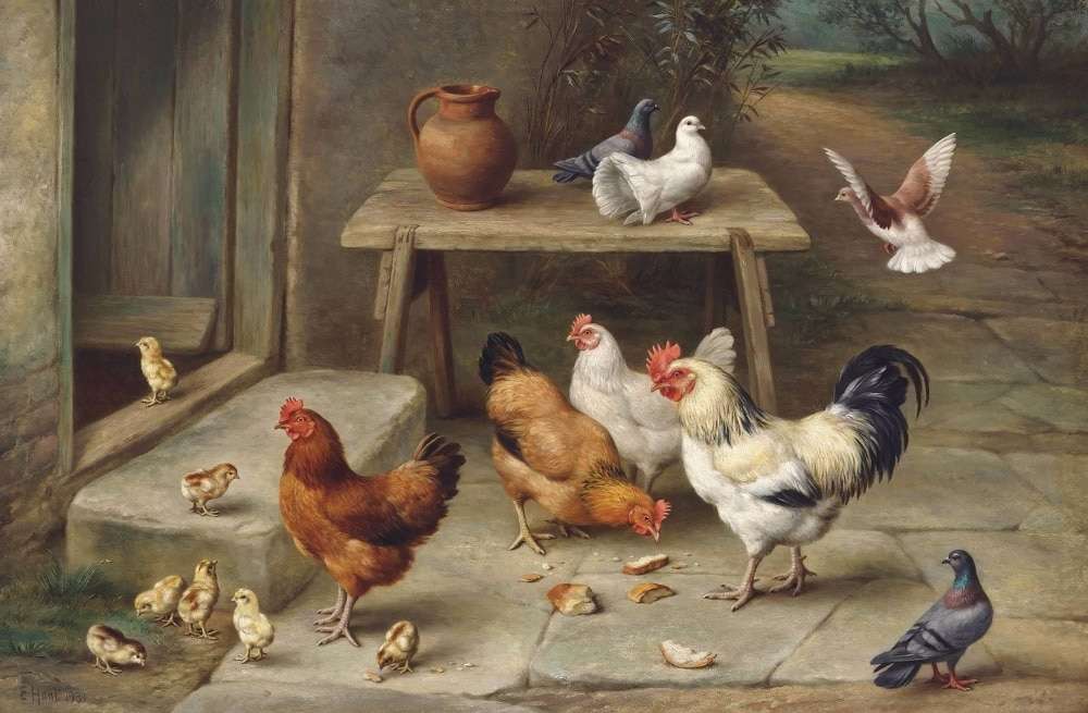 Domestic fowl. online puzzle