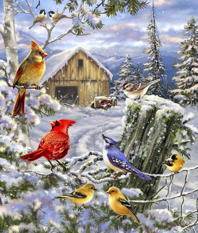 Colorful birds jigsaw puzzle online