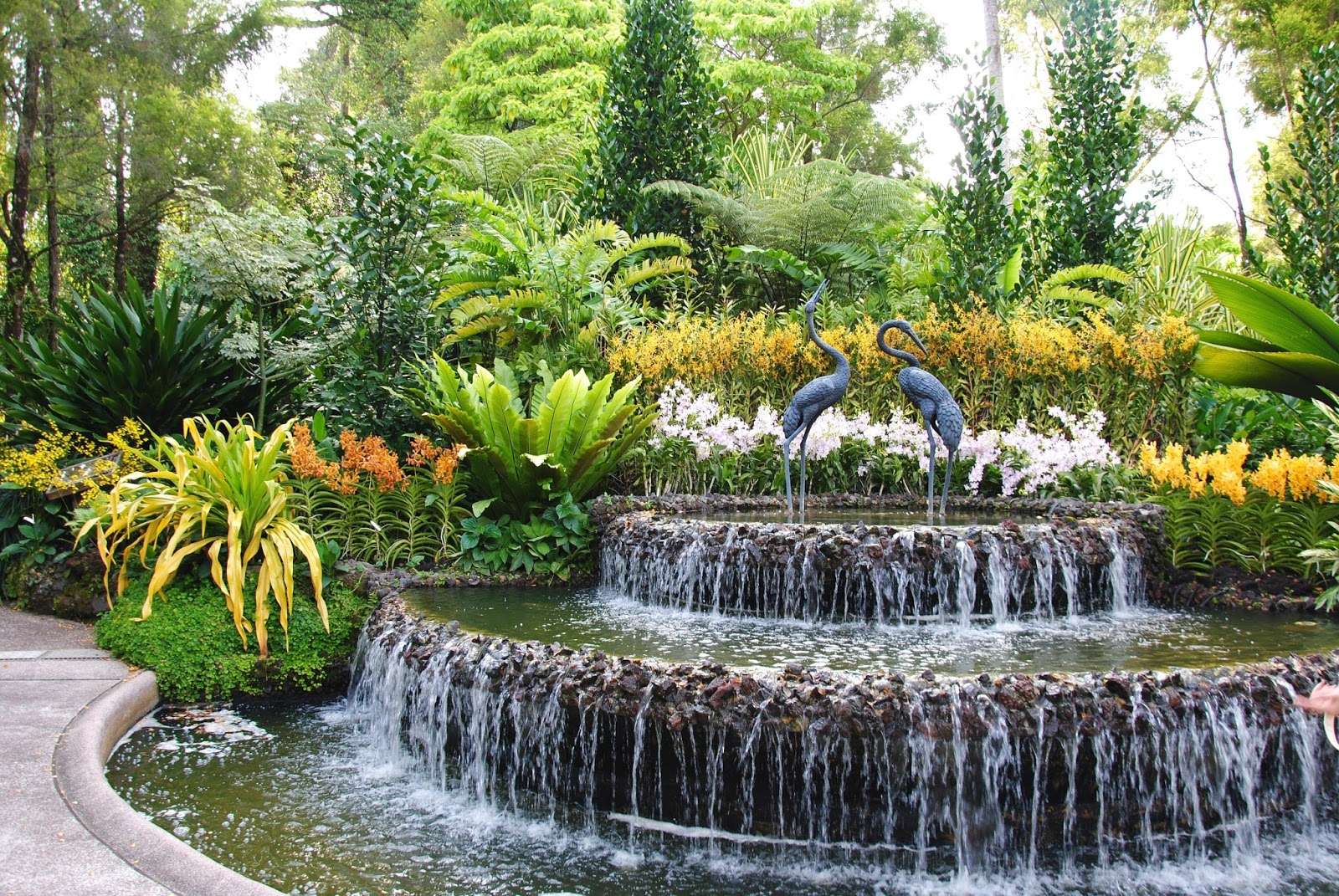 Jardim de orquídeas de Singapura quebra-cabeças online