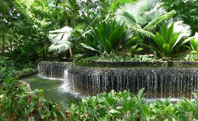 Сингапурский сад пазл онлайн
