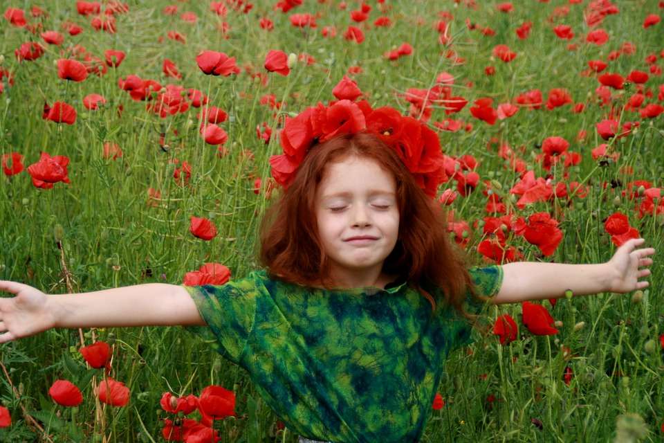 Girl and poppies jigsaw puzzle online