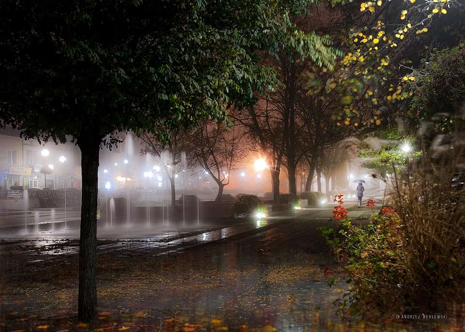 Μια βόλτα σε ένα βροχερό βράδυ. online παζλ