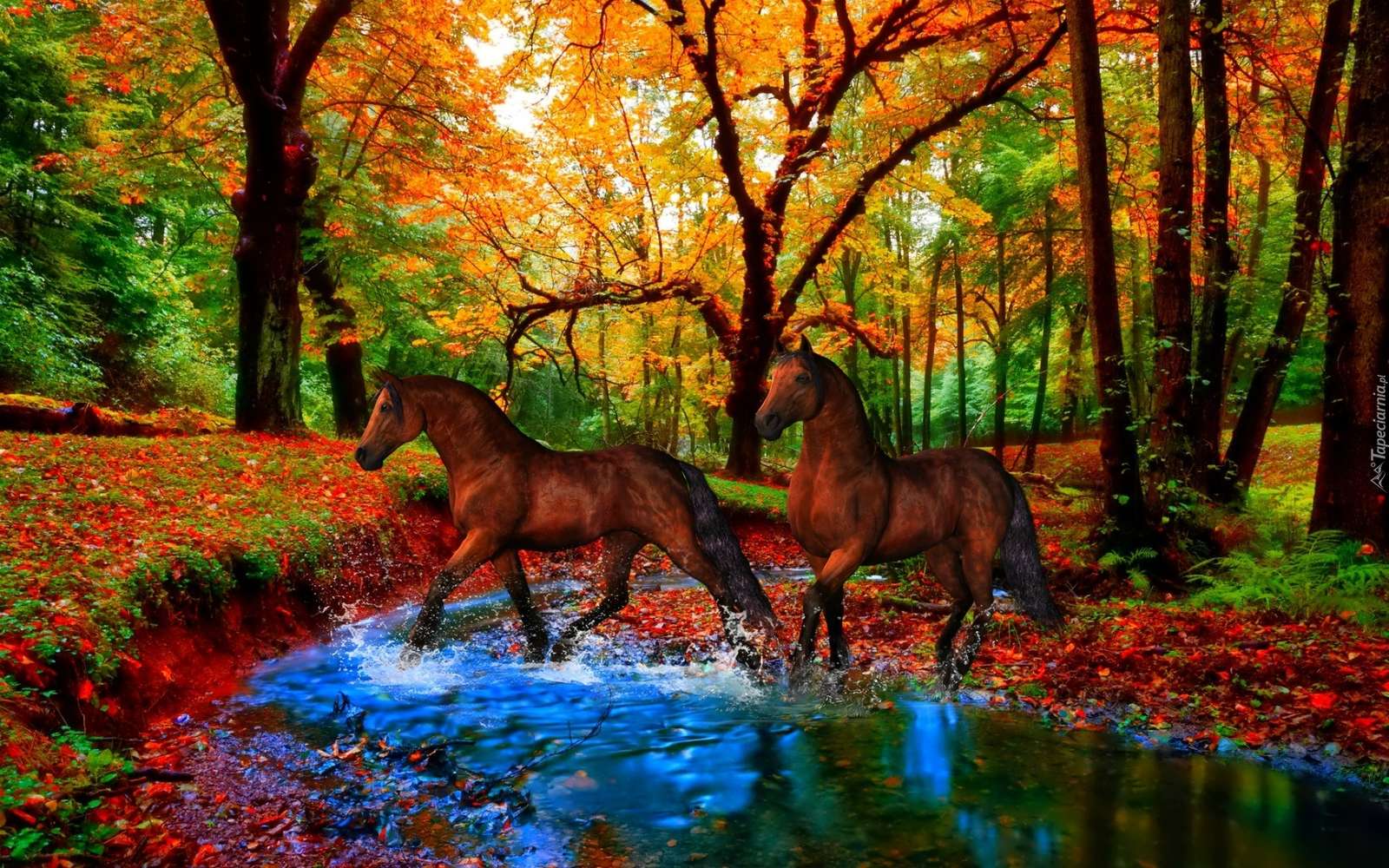 Fairytale view jigsaw puzzle online