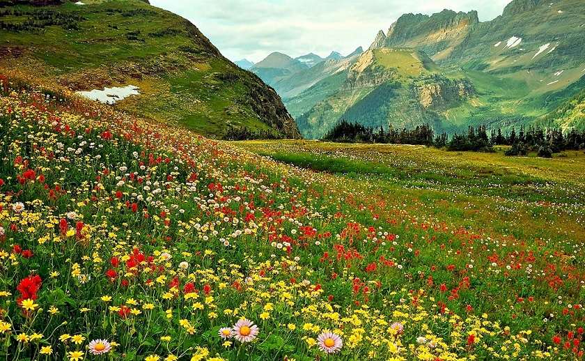 Spring in the mountains. jigsaw puzzle online