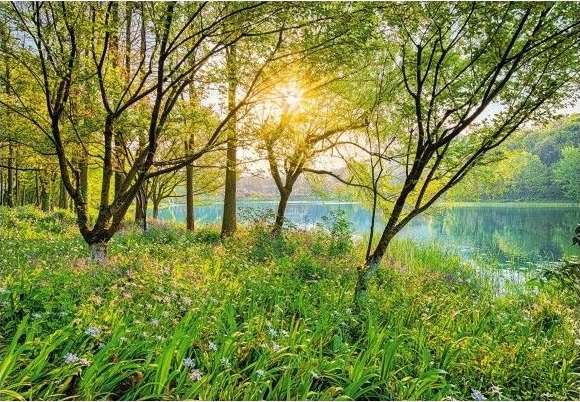 Spring in nature jigsaw puzzle online