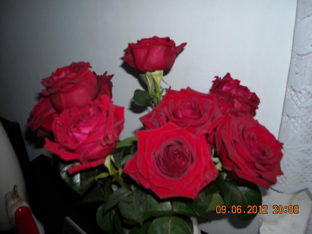 пурпурни рози онлайн пъзел