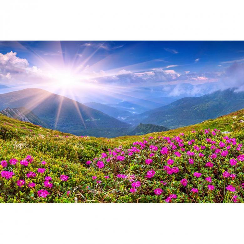 Spring vibes. online puzzel