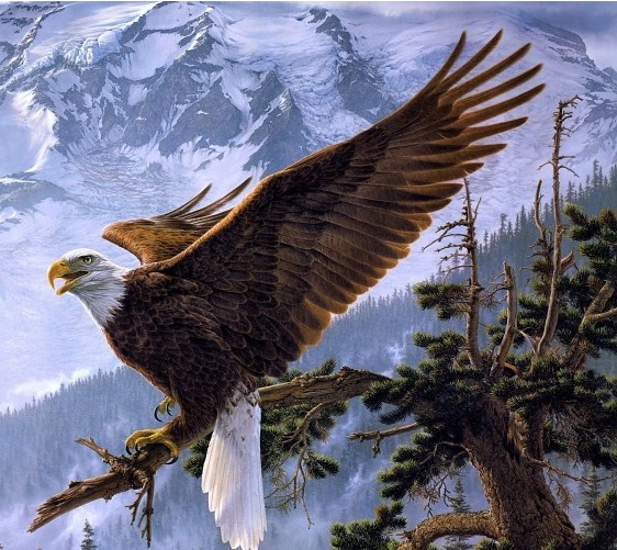 Планински орел онлайн пъзел