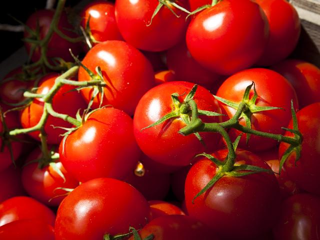 tomatoes jigsaw puzzle online