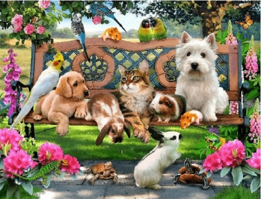 Adorabili animali domestici in panchina. puzzle online