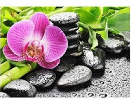 Orchidées et galets puzzle en ligne