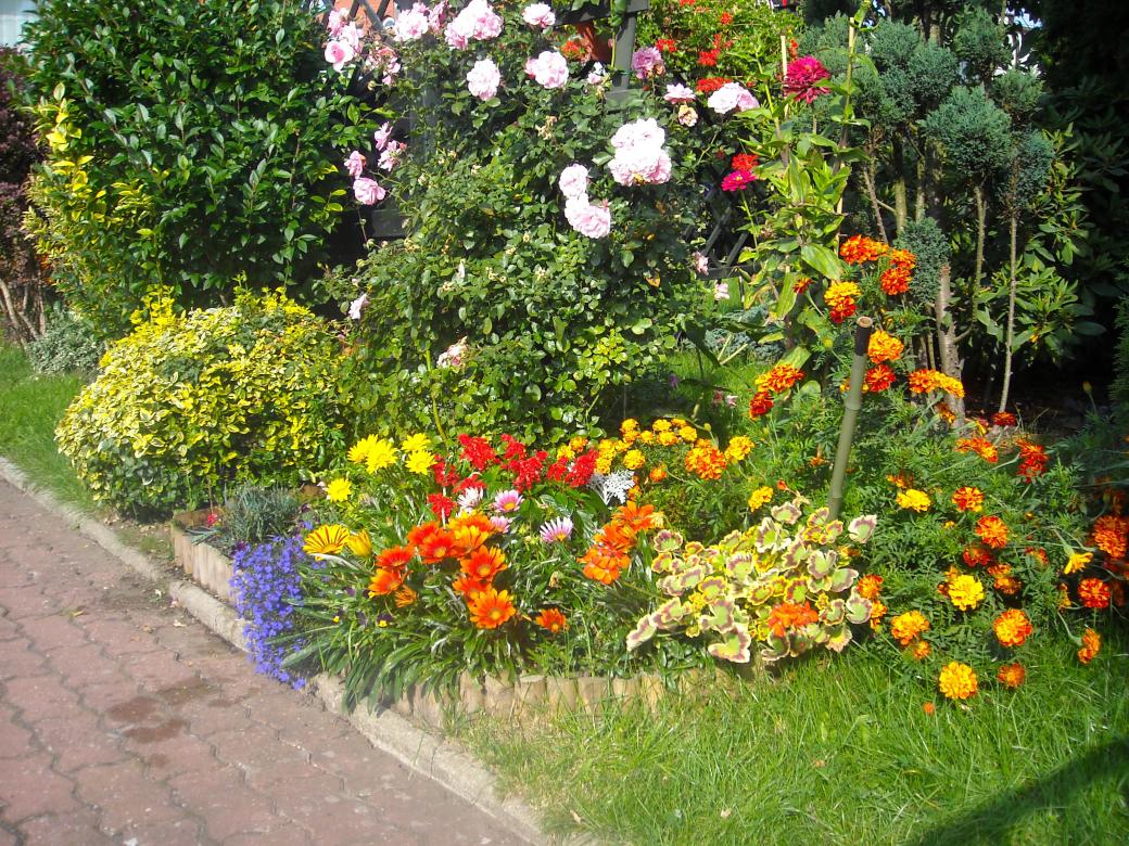 virágok a kertben kirakós online