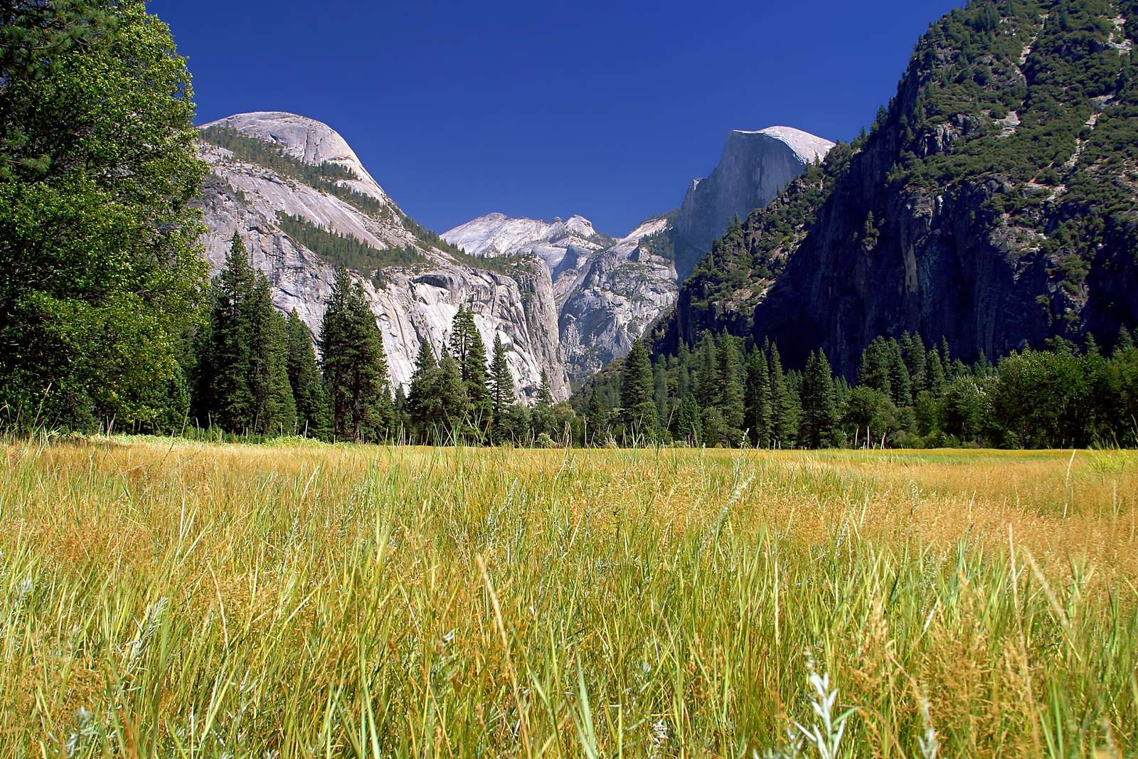 Yosemite national park online puzzle