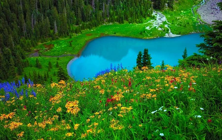 Turquoise lake. online puzzle