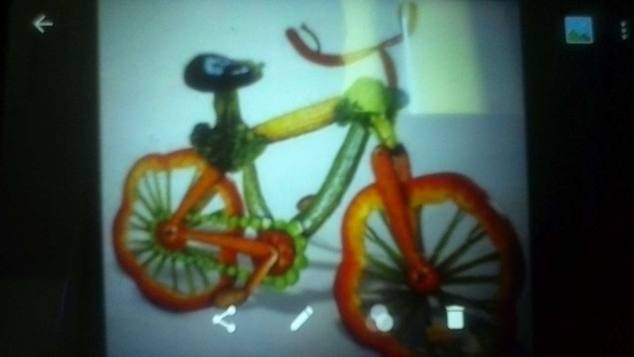 bicicleta vegetariana rompecabezas en línea