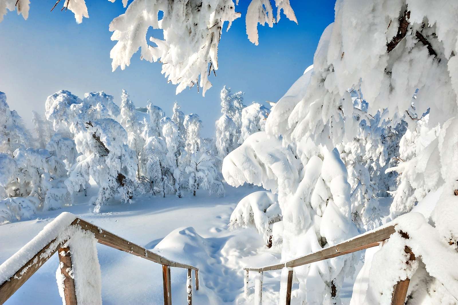 Southern Ural. jigsaw puzzle online