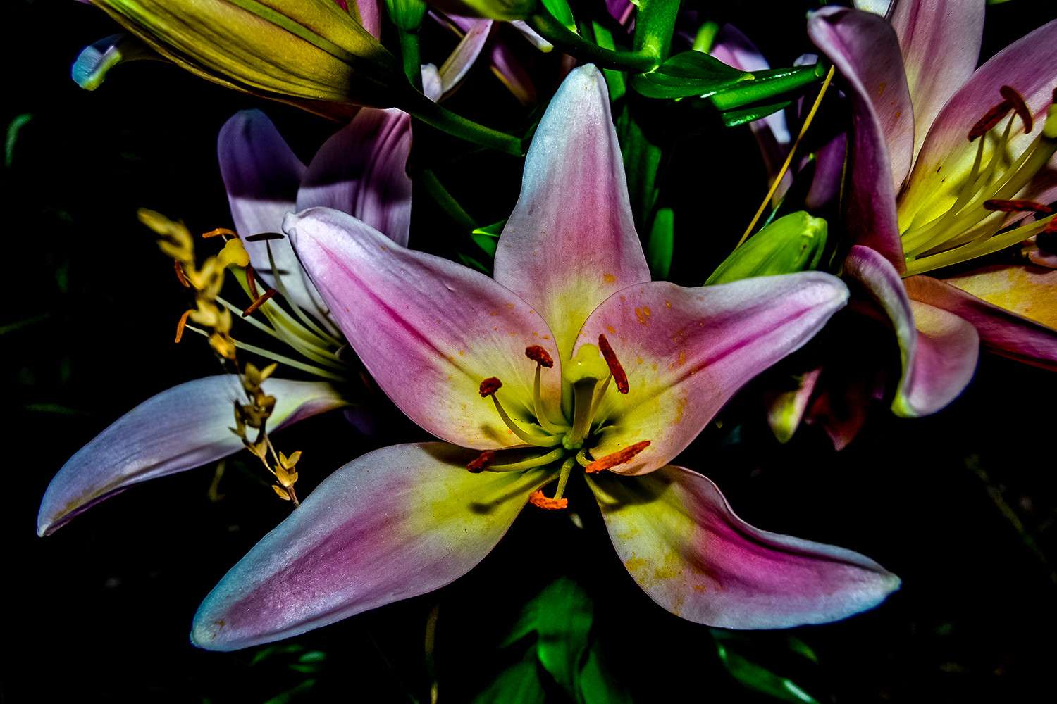 pink lily on the discount jigsaw puzzle online