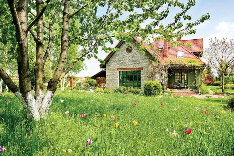 Ein Haus unter einem Kirschbau Puzzlespiel online