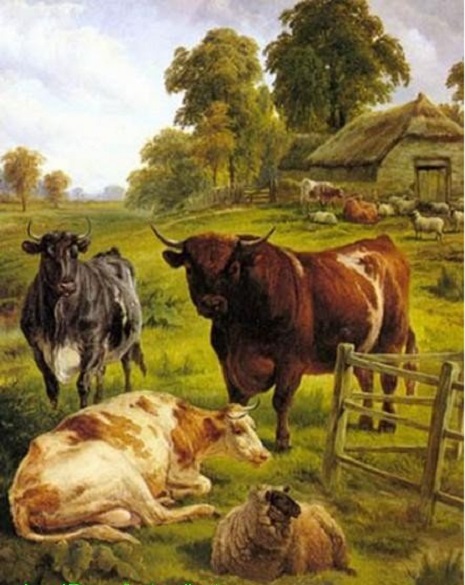 Horned cattle. jigsaw puzzle online