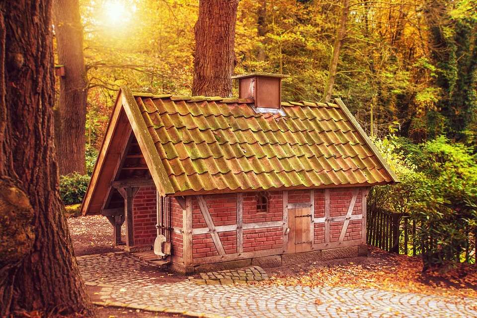 O casă mică în pădure. puzzle online