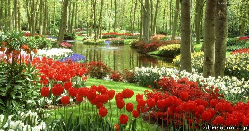 A virágokkal teli park online puzzle