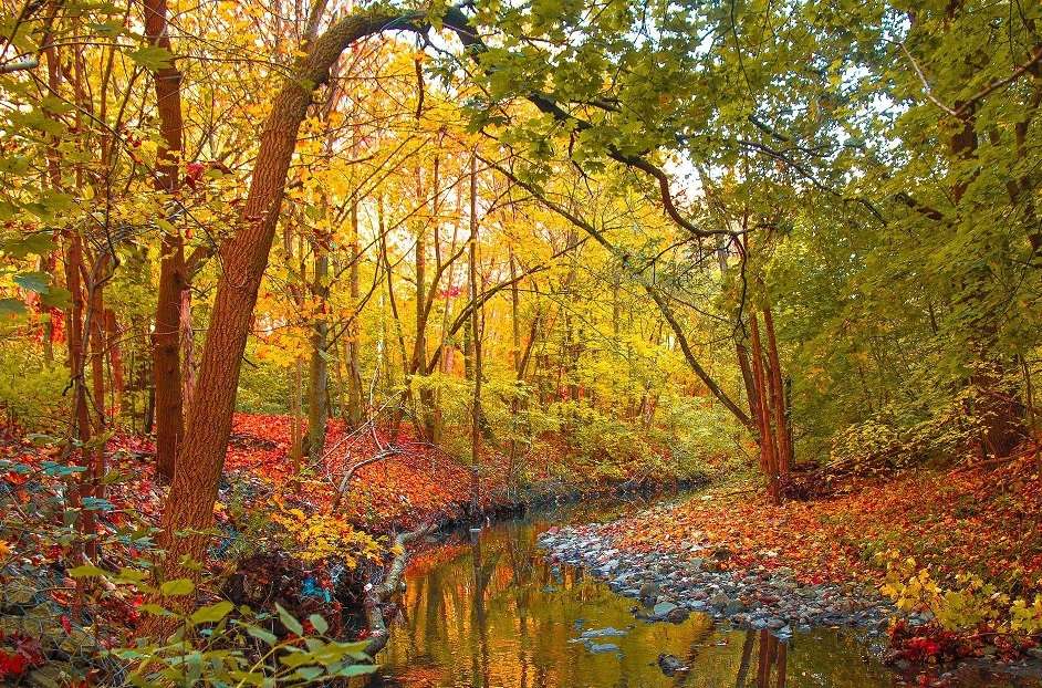 Herfst landschap online puzzel