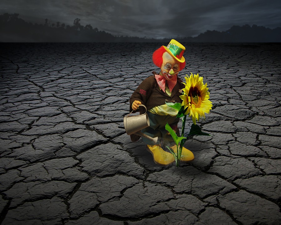Clown und Sonnenblume. Puzzlespiel online