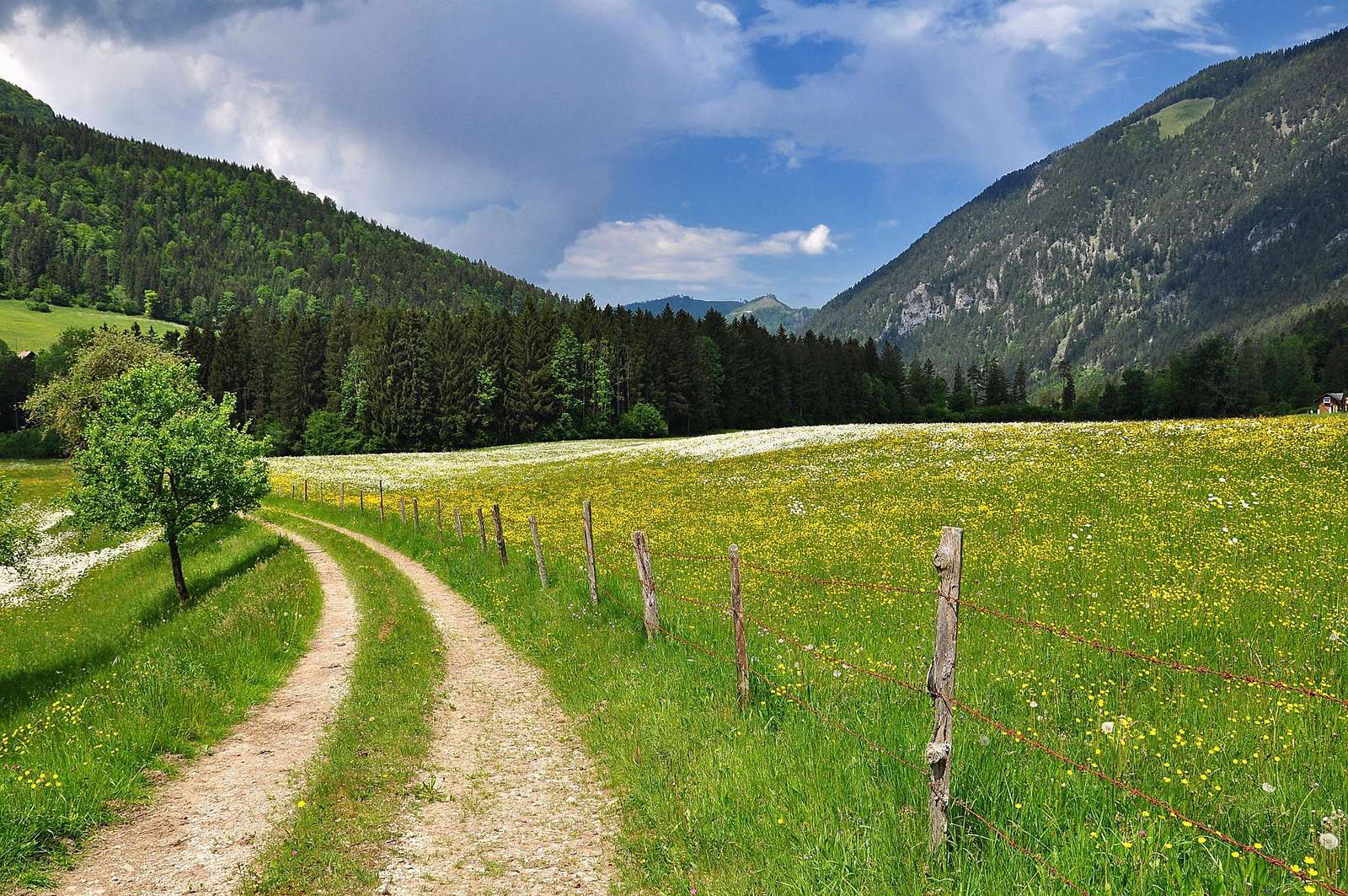 Mountain road jigsaw puzzle online