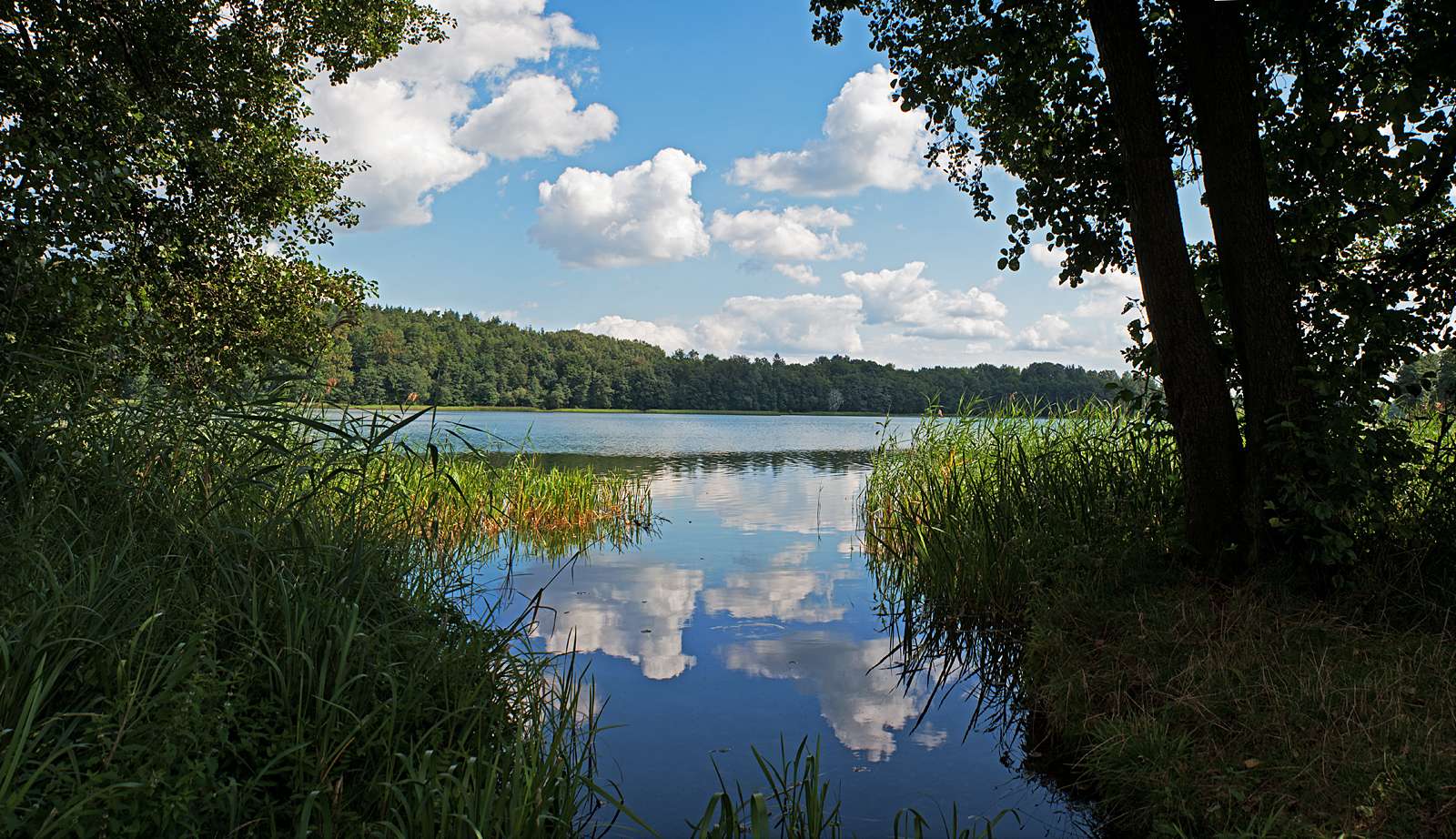 Sjön i Olecko. Pussel online