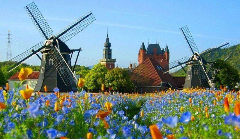 Nederlandse windmolens. online puzzel