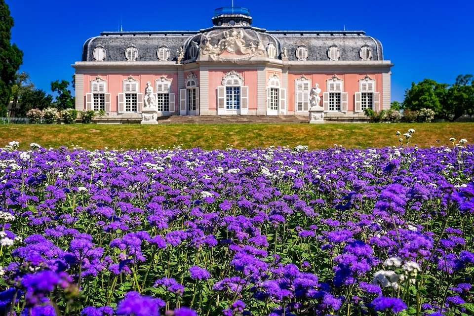 Великолепният дворец и полето на цветята онлайн пъзел