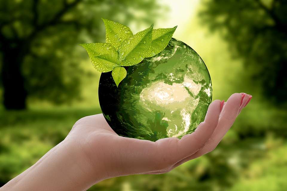 Earth in Your Hand. jigsaw puzzle online