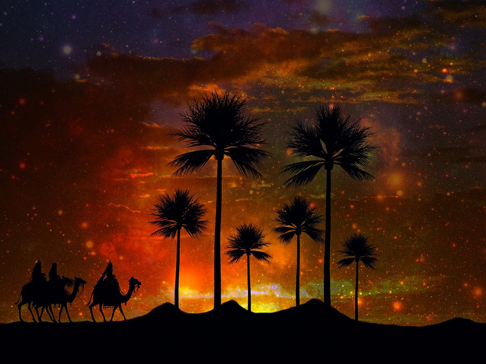 Afrikaanse nachtelijke hemel. online puzzel
