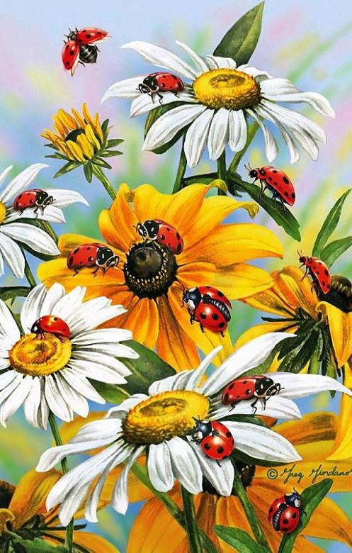 Ladybugs. online puzzle
