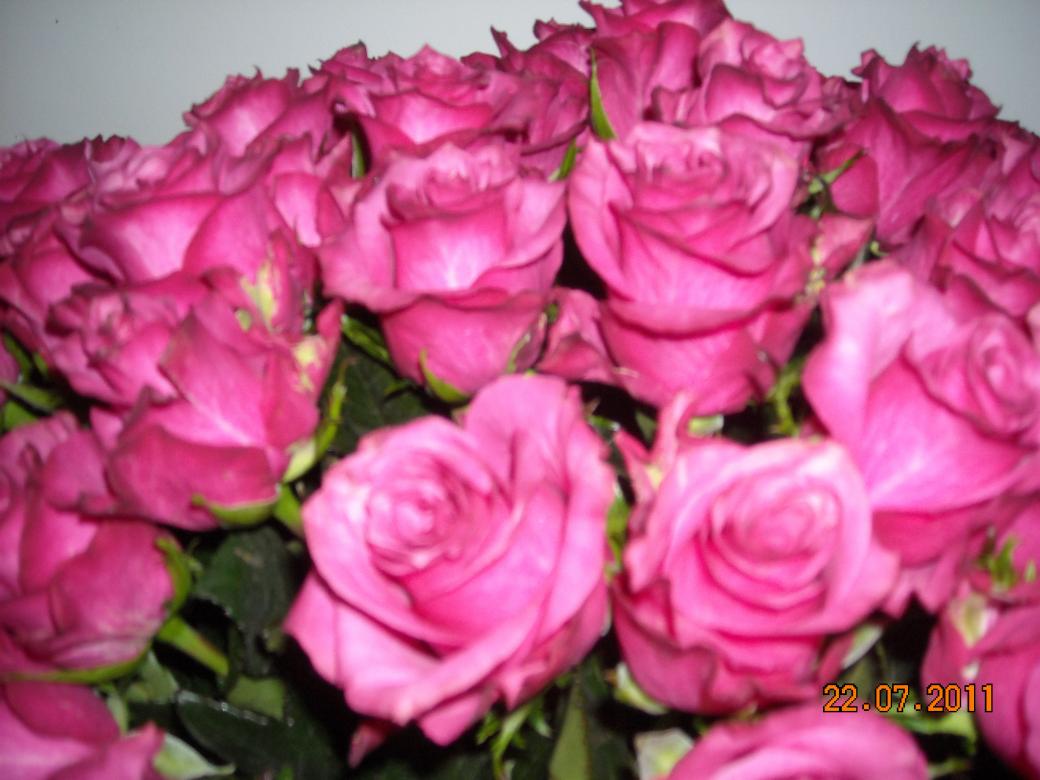 60 рози онлайн пъзел