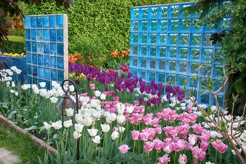 nel mondo dei tulipani puzzle online