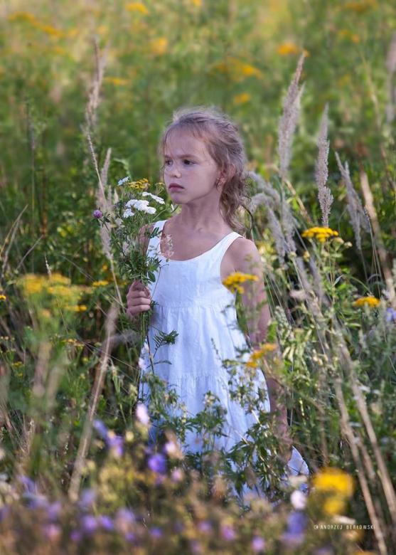 A girl among meadows online puzzle