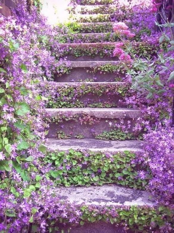 Flowery stairs. online puzzle