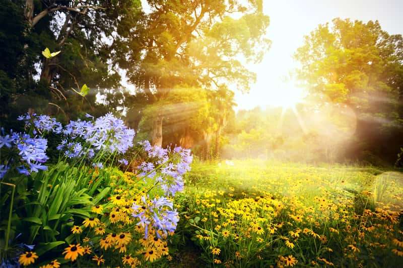 Květen ráno na slunci. skládačky online